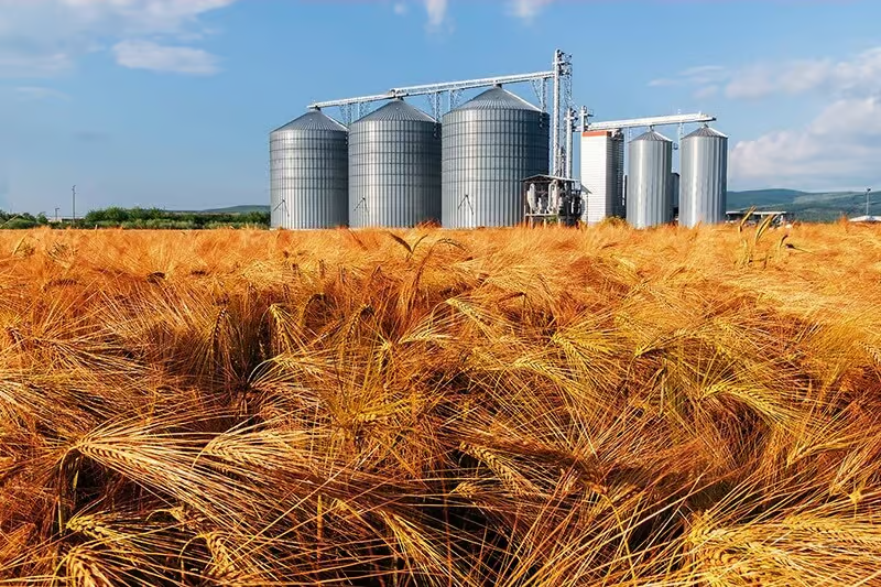5 of the Most Common Farming Accidents, 2021 Image