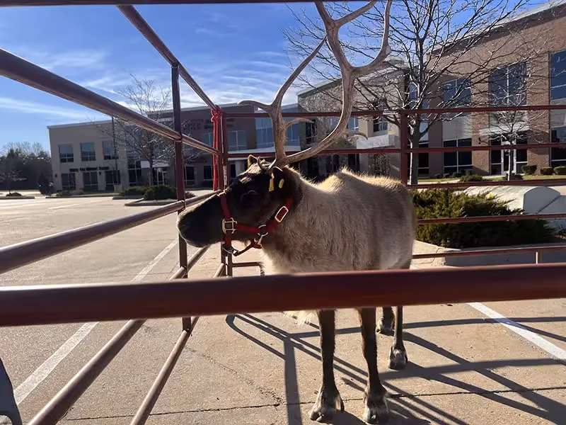 Imagen de Toy Drive 2023