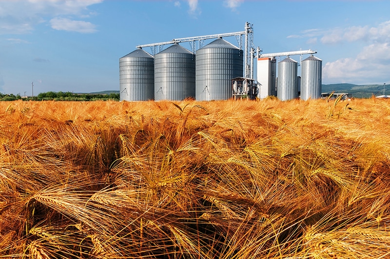 Silo photo from farming injury